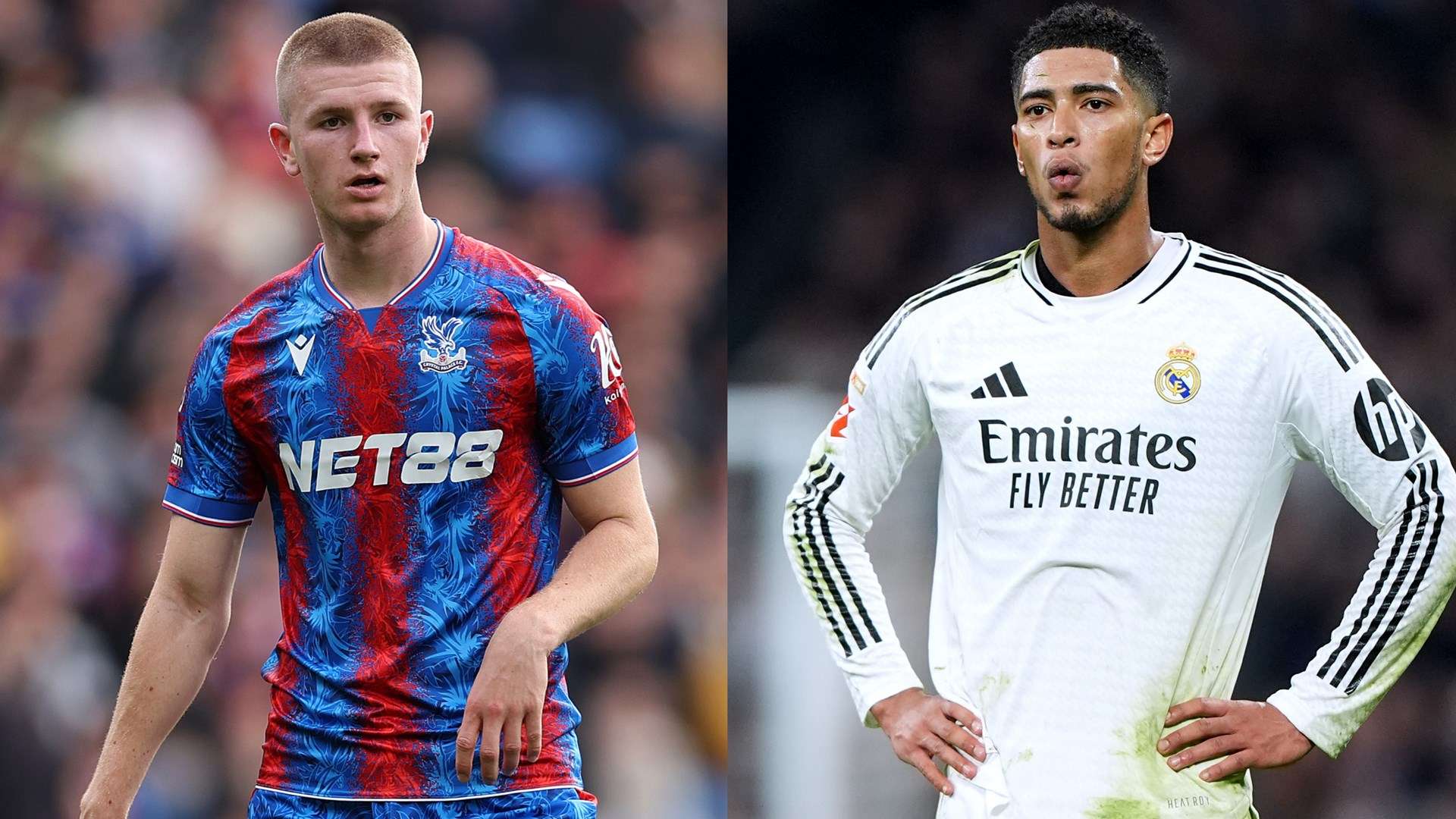 长期信念与 长期信念与